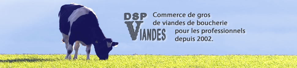 DSP Viandes - La société